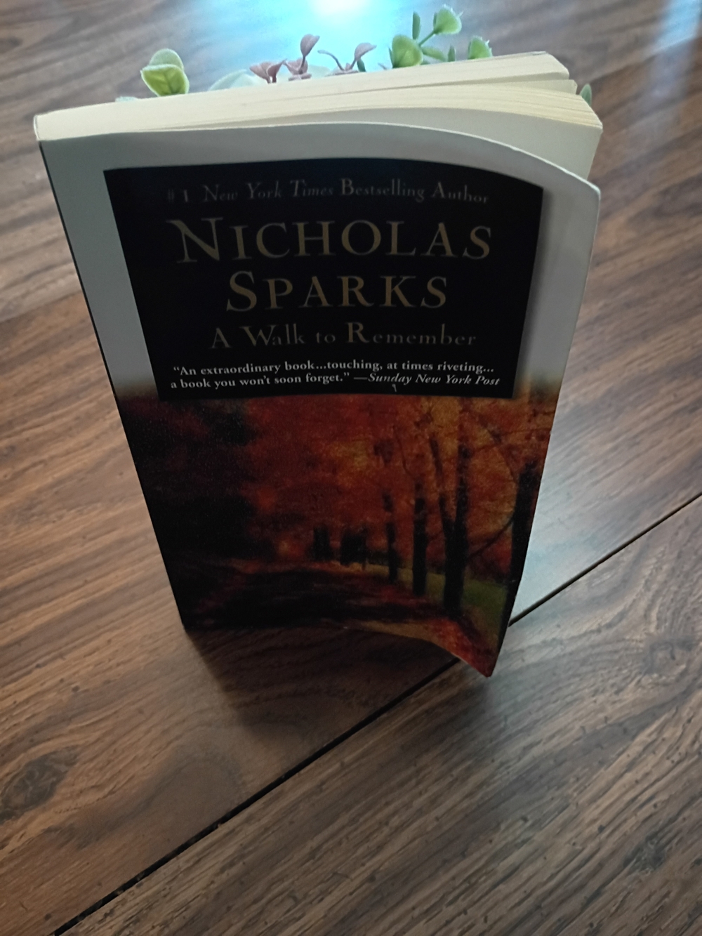 'A Walk to Remember' Nicholas Sparks Paperback Book
